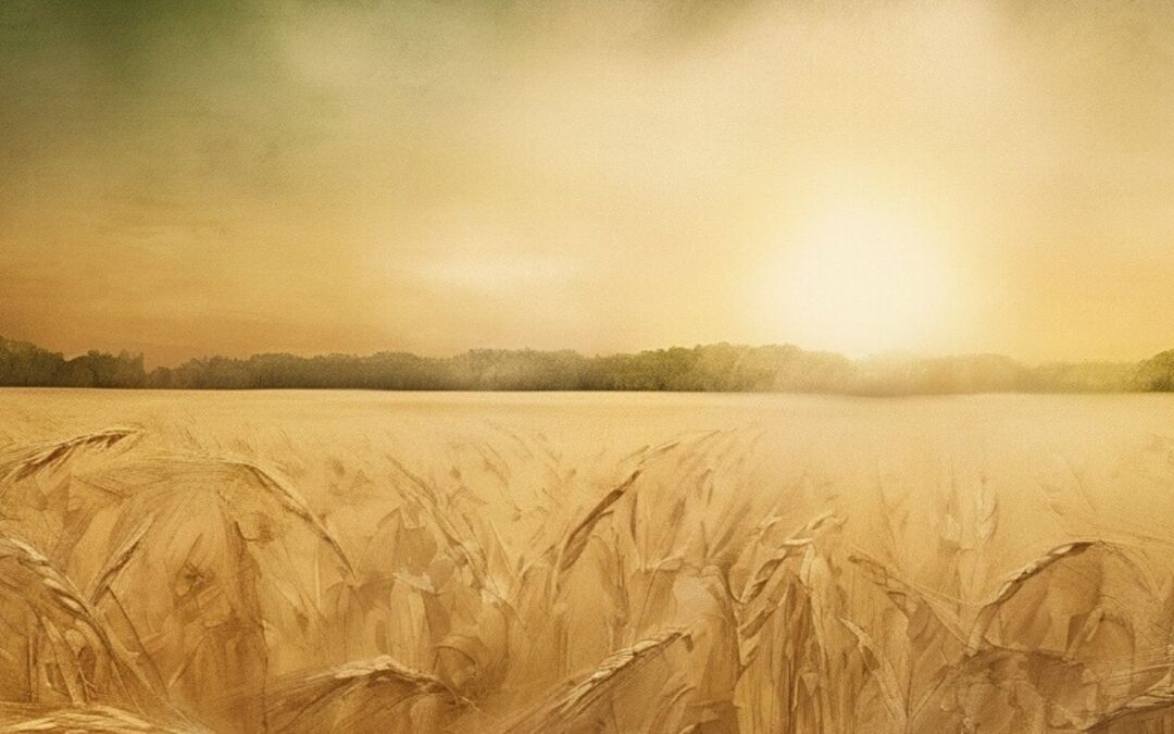 Bible Verses About Gratitude and How to Live a Thankful Life