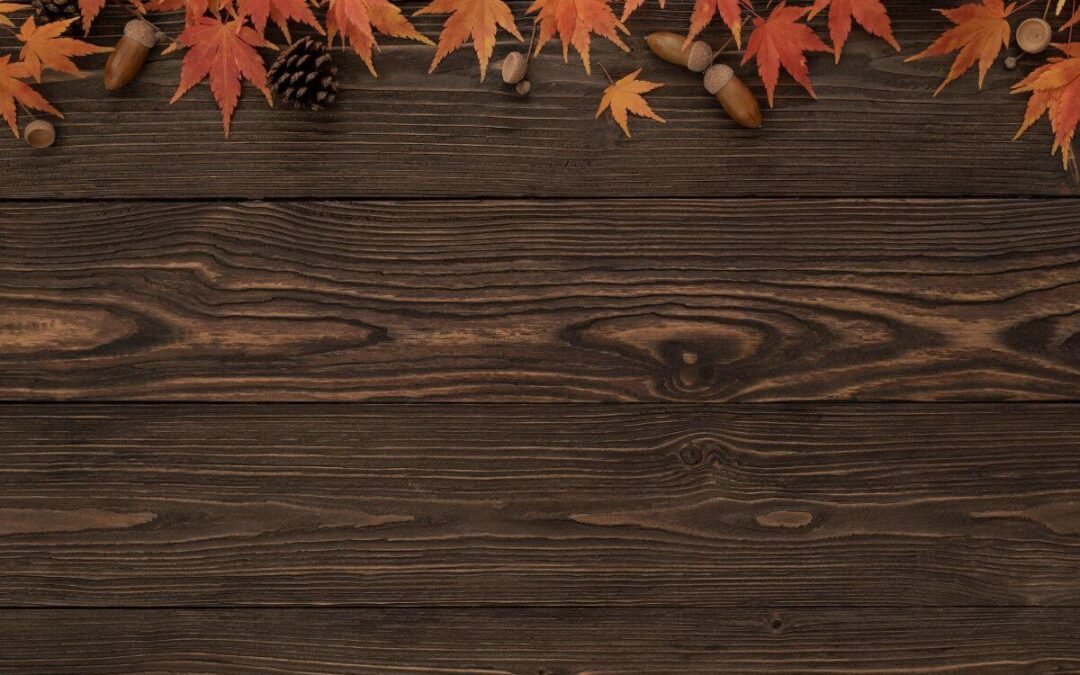 Gratitude and Thanksgiving: Prayers, Journal Prompts, and 10 Bible Verses